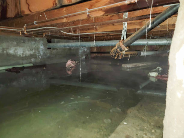 Water damage restoration mold remediation in OK