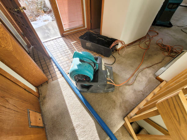 Best 24-hour water damage restoration  in Gore, OK