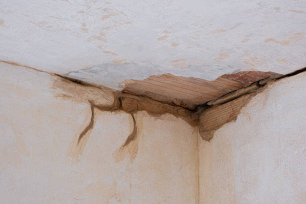 Best Flood restoration services  in Gore, OK