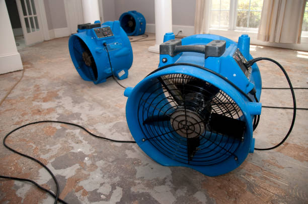 Best Flood damage cleanup  in Gore, OK