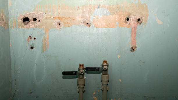 Best Flooded house restoration  in Gore, OK
