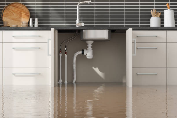 Best Water damage contractors near me  in Gore, OK