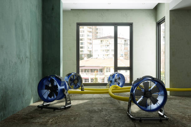 Best Local water damage restoration  in Gore, OK